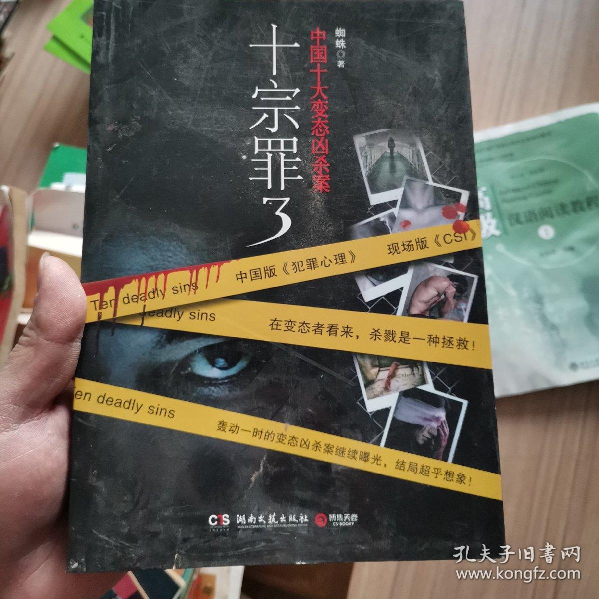 十宗罪3:中国十大变态凶杀案
