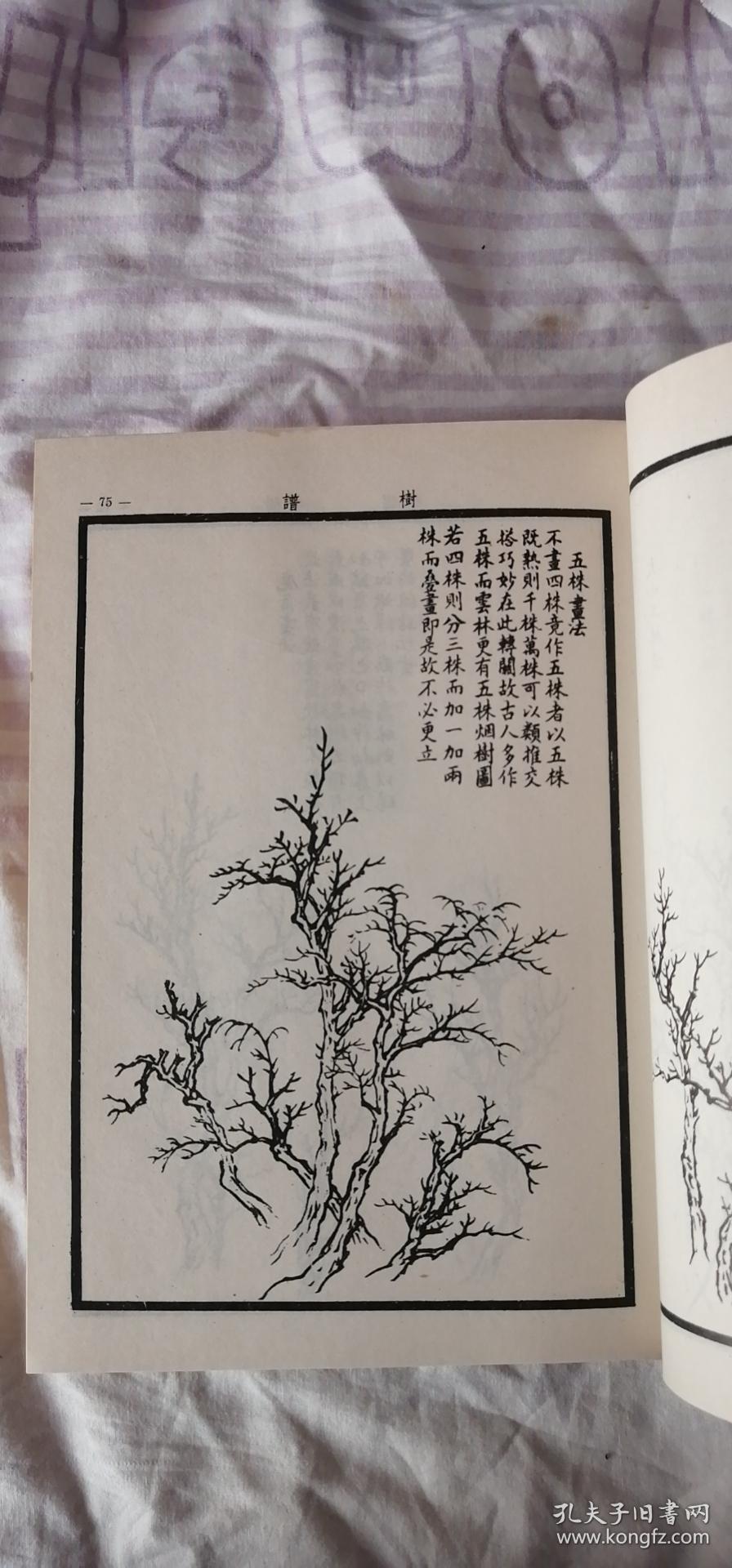 芥子园画谱全集