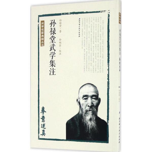 孙禄堂武学集注 拳意述真