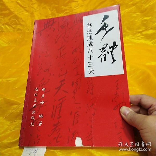 毛体书法速成八十三天 作者签名版