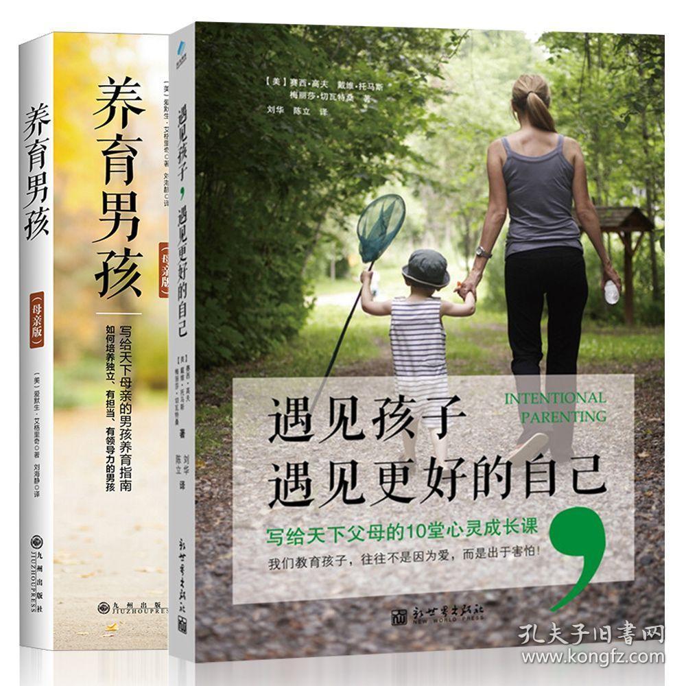 【正版保证】遇见孩子 遇见更好的自己 养育男孩母亲版 全二册 写给
