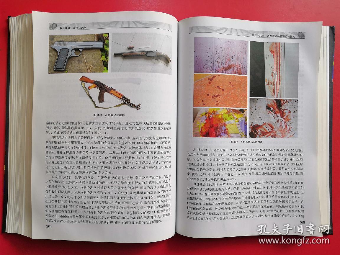 法医学(第2版 供基础,临床,预防,口腔医学,法学,公安类专业用/全国