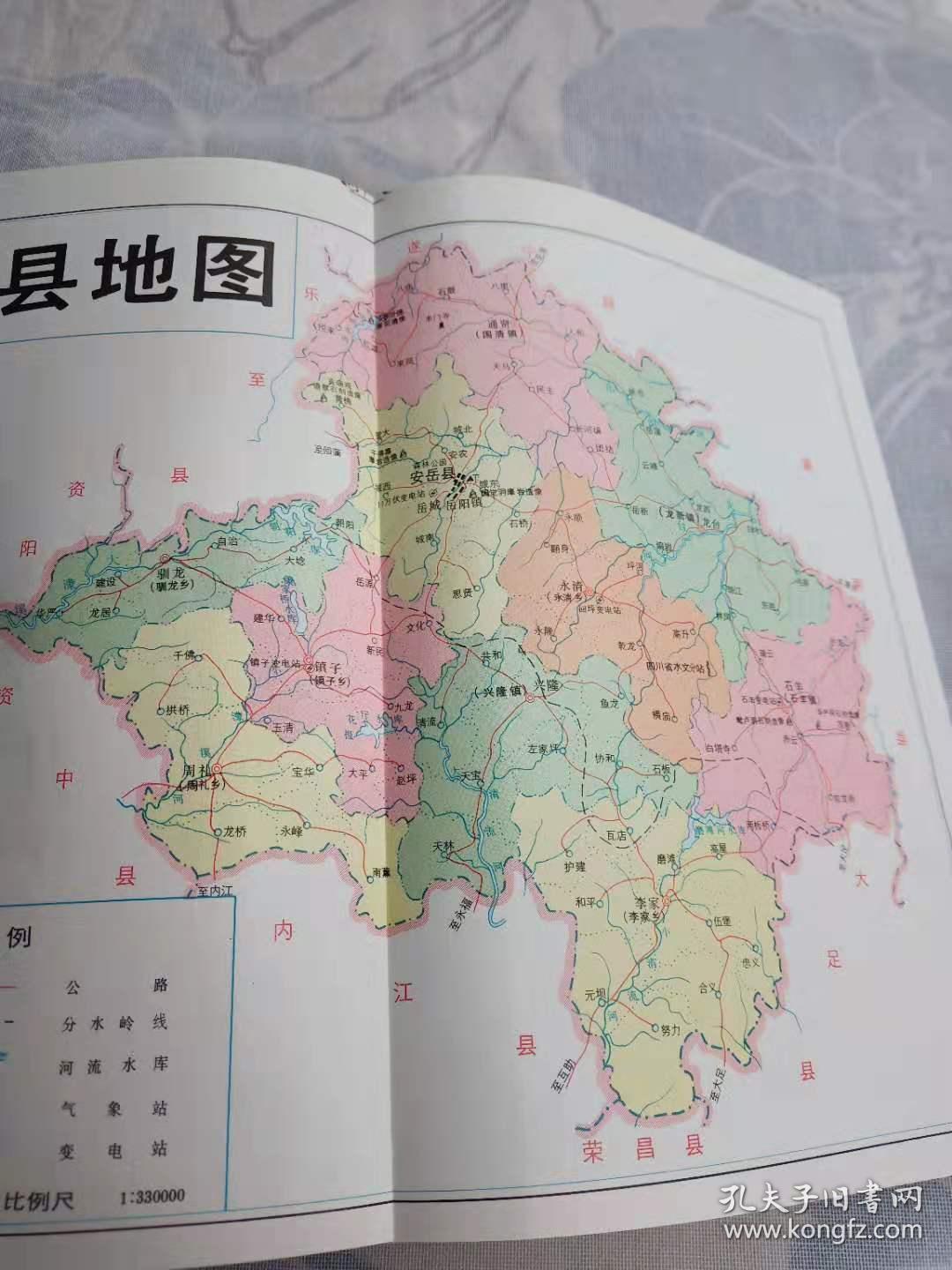 安岳县志