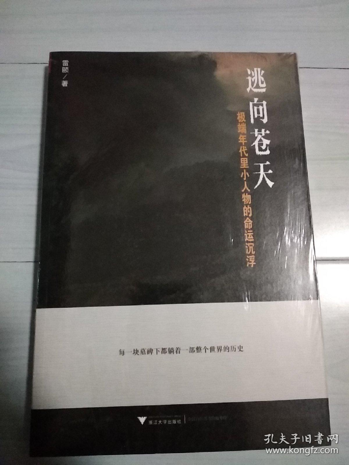 逃向苍天:极端年代里小人物的命运沉浮