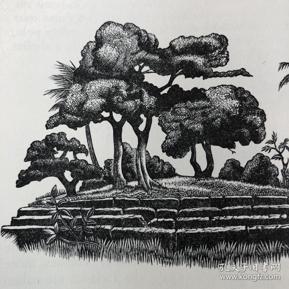 版画大师robert gibbings:over the reefs