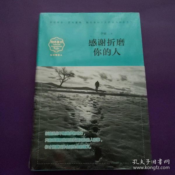 感谢折磨你的人(畅销精读本)