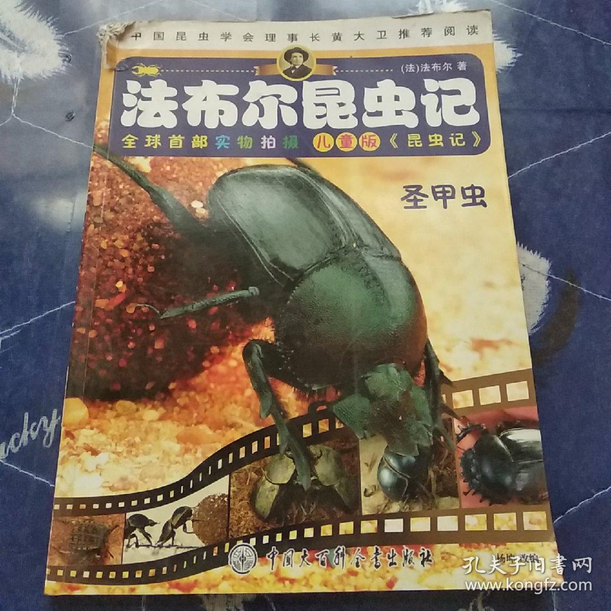 圣甲虫(儿童版)/法布尔昆虫记