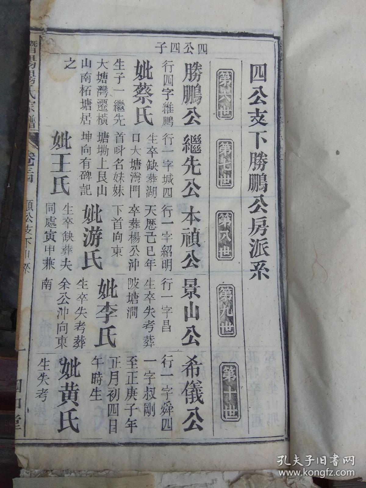 民国《杨氏家谱》(四知堂)21本