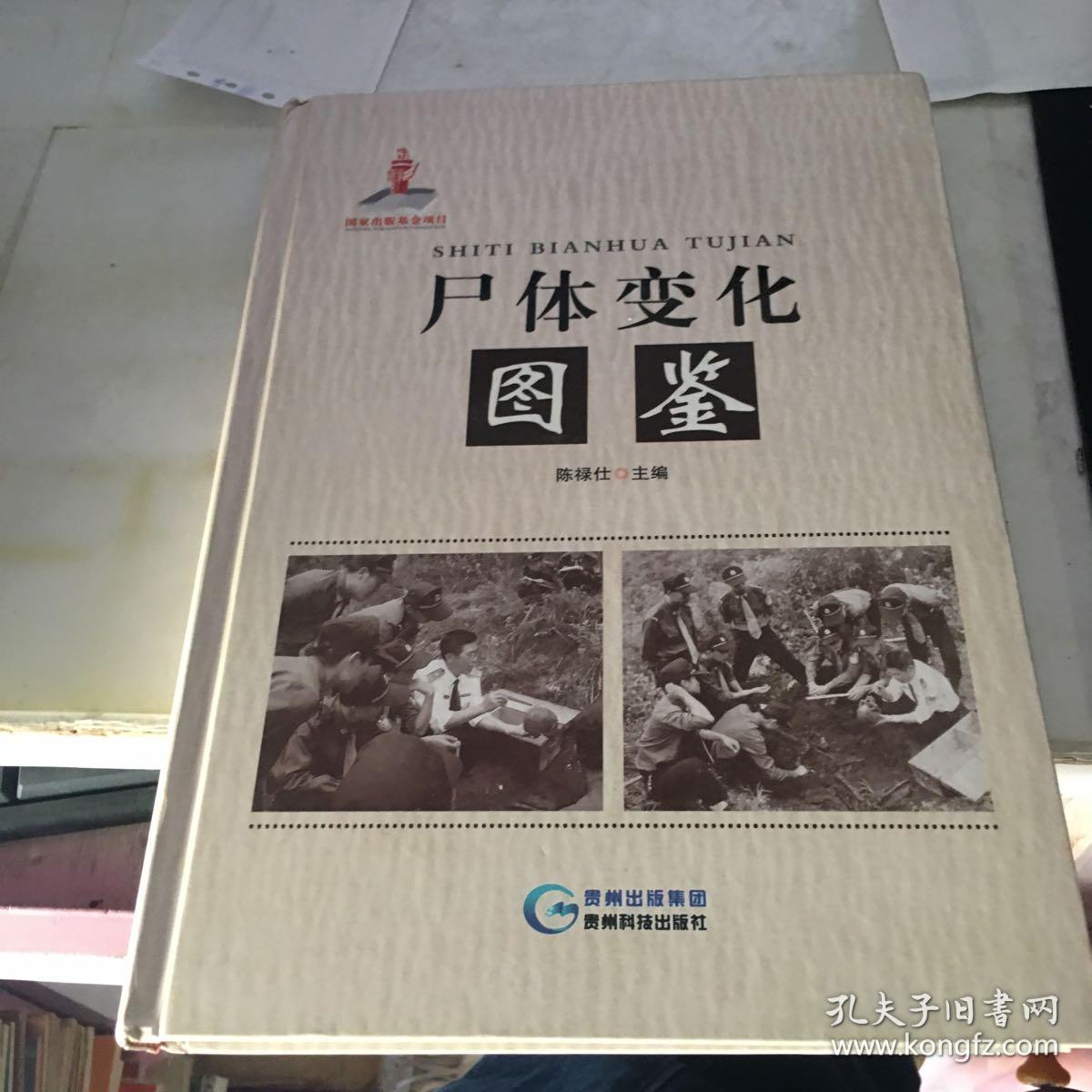 尸体变化图鉴