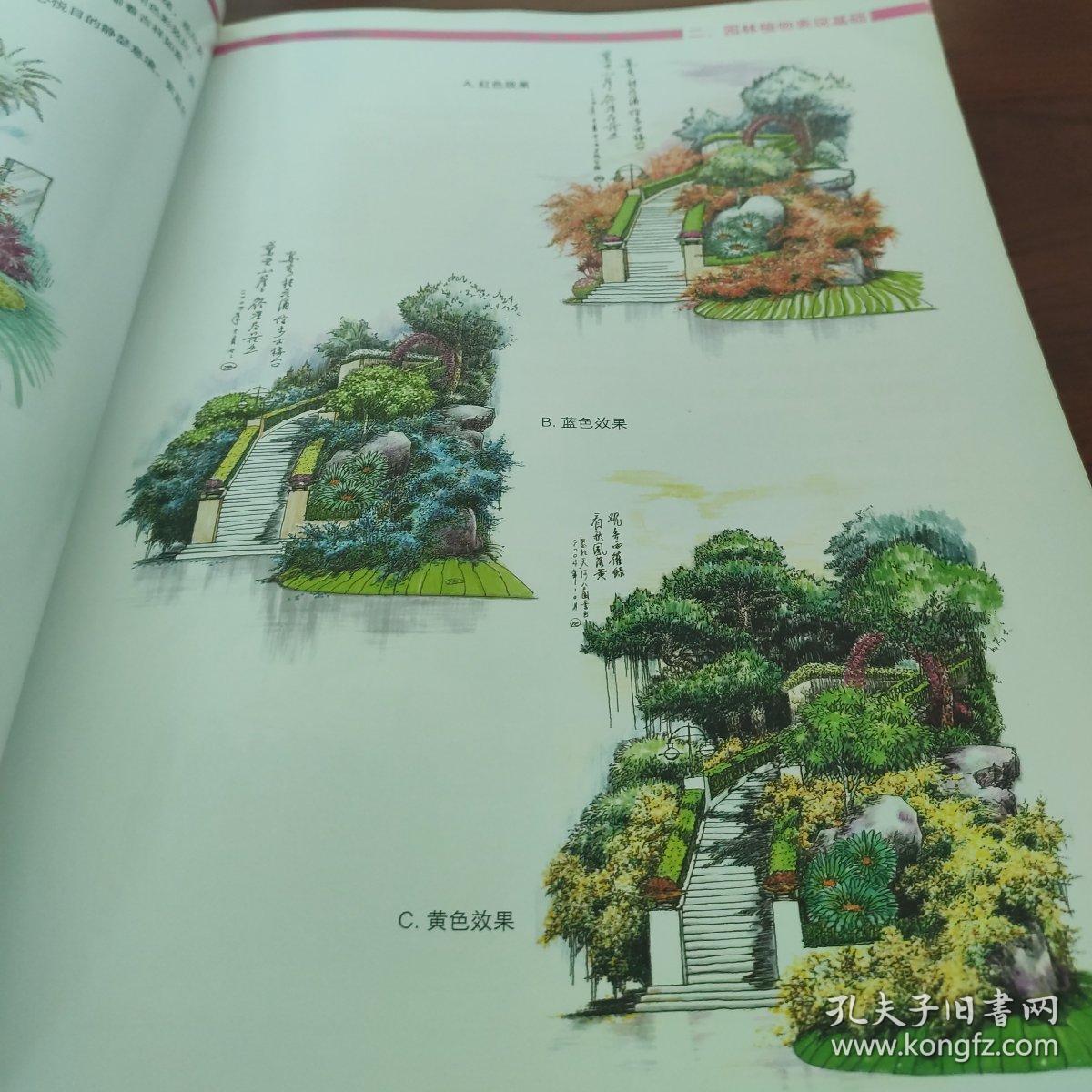 手绘园林植物配置与造景