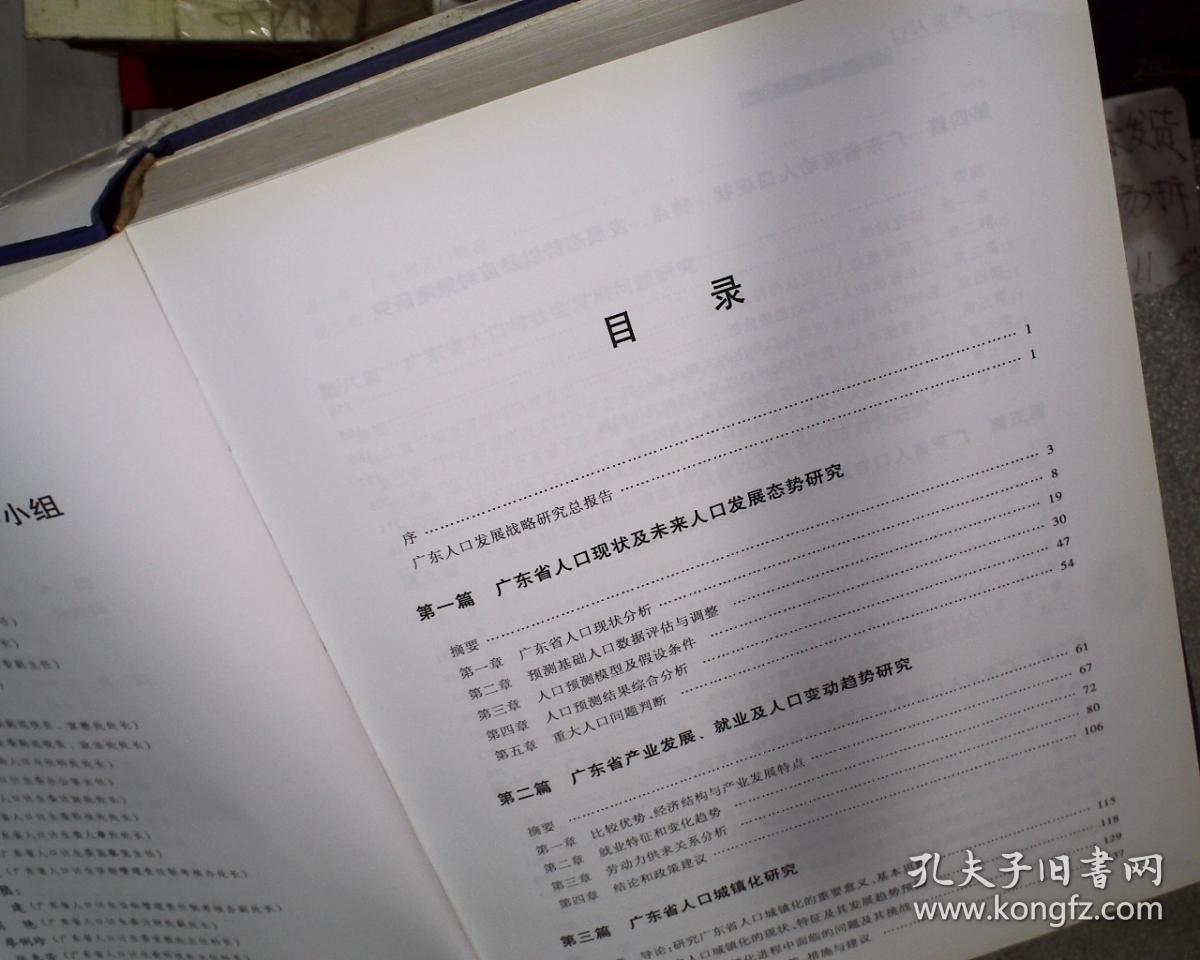 人口发展战略研究报告_人口发展模式图