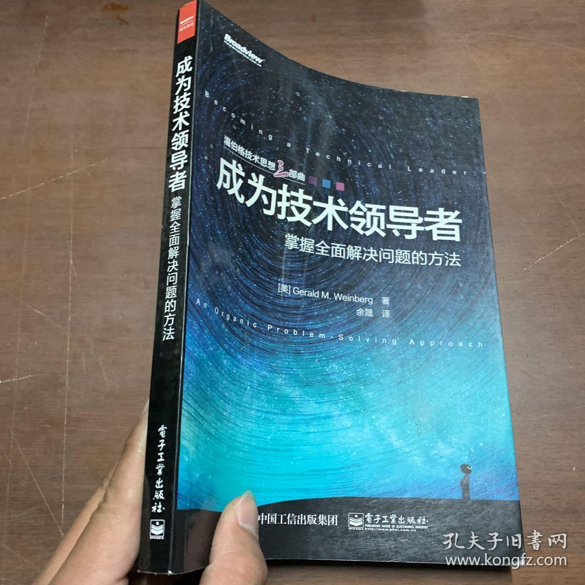 成为技术领导者:掌握全面解决问题的方法