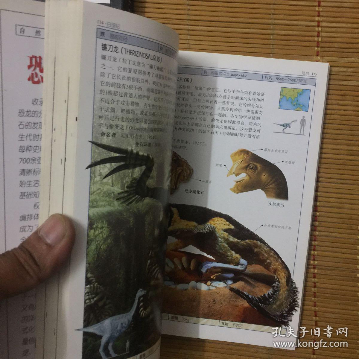地质年代 化石证据 前寒武纪 寒武纪 奥陶纪 志留纪 泥盆纪 石炭纪