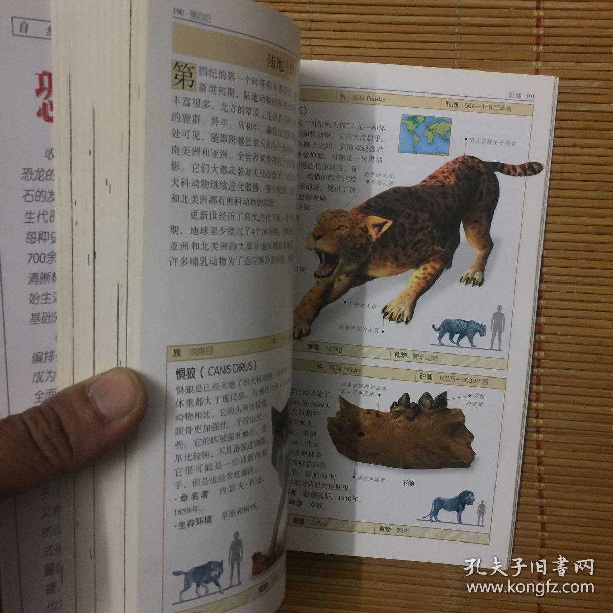 地质年代 化石证据 前寒武纪 寒武纪 奥陶纪 志留纪 泥盆纪 石炭纪