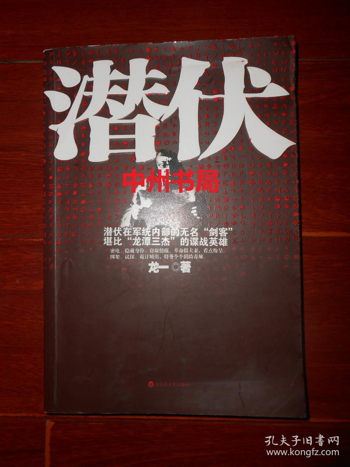 潜伏 龙一著 2009年一版一印 末页有书店印章保正版书