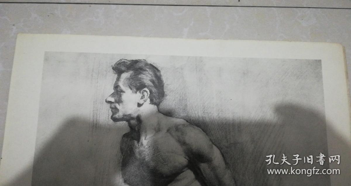 七八十年代素描画(印刷品)——男人体(七) 52.2*37.