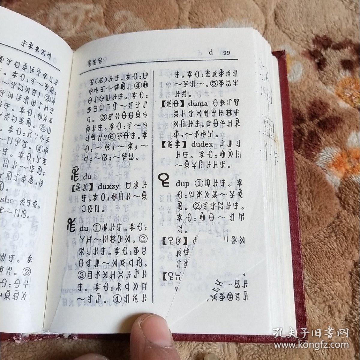 彝文字典