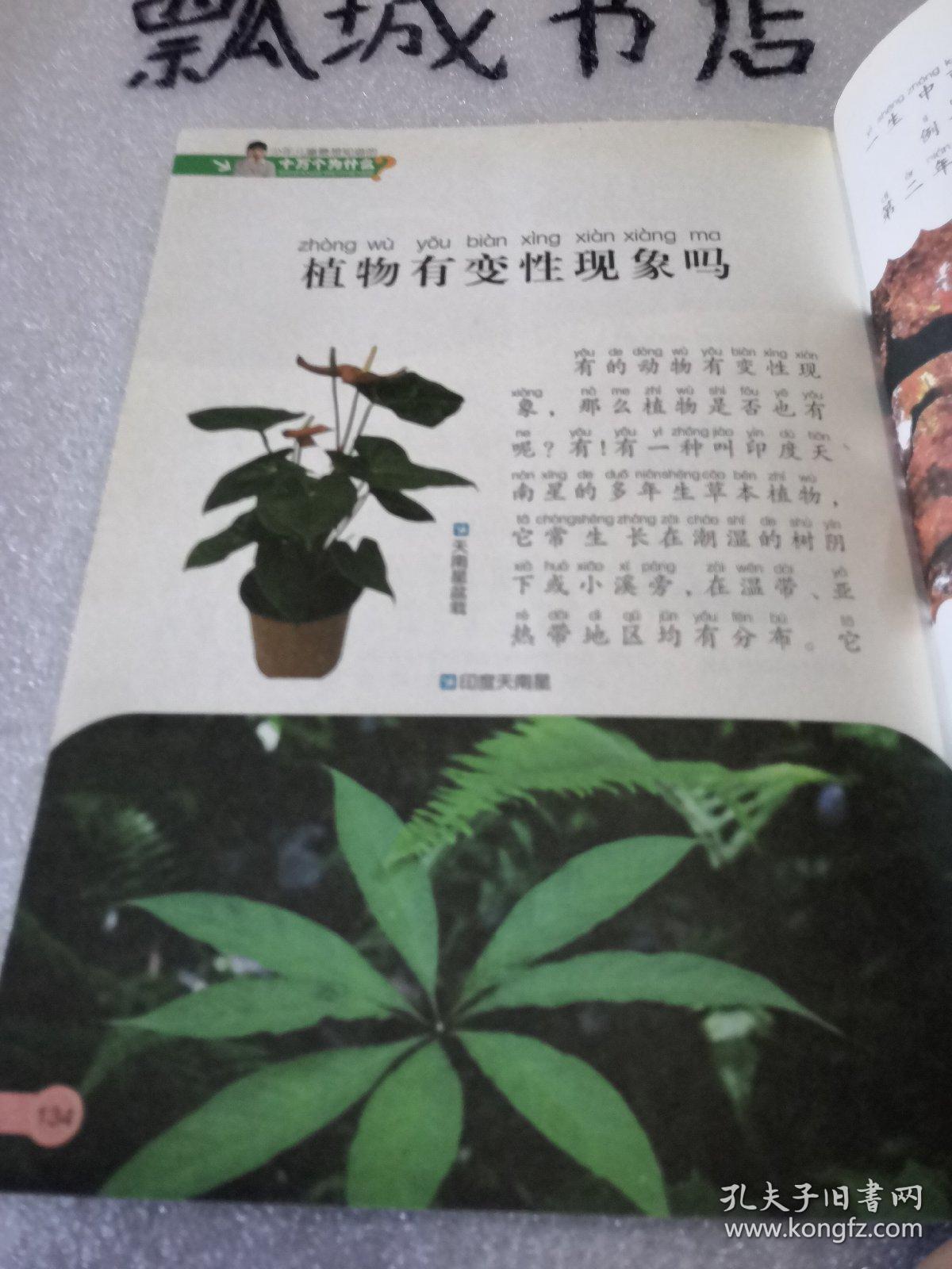 少年儿童最想知道的十万个为什么-植物天地
