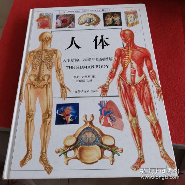 [人体:人体结构,功能与疾病图解] 图书价格_书籍图片