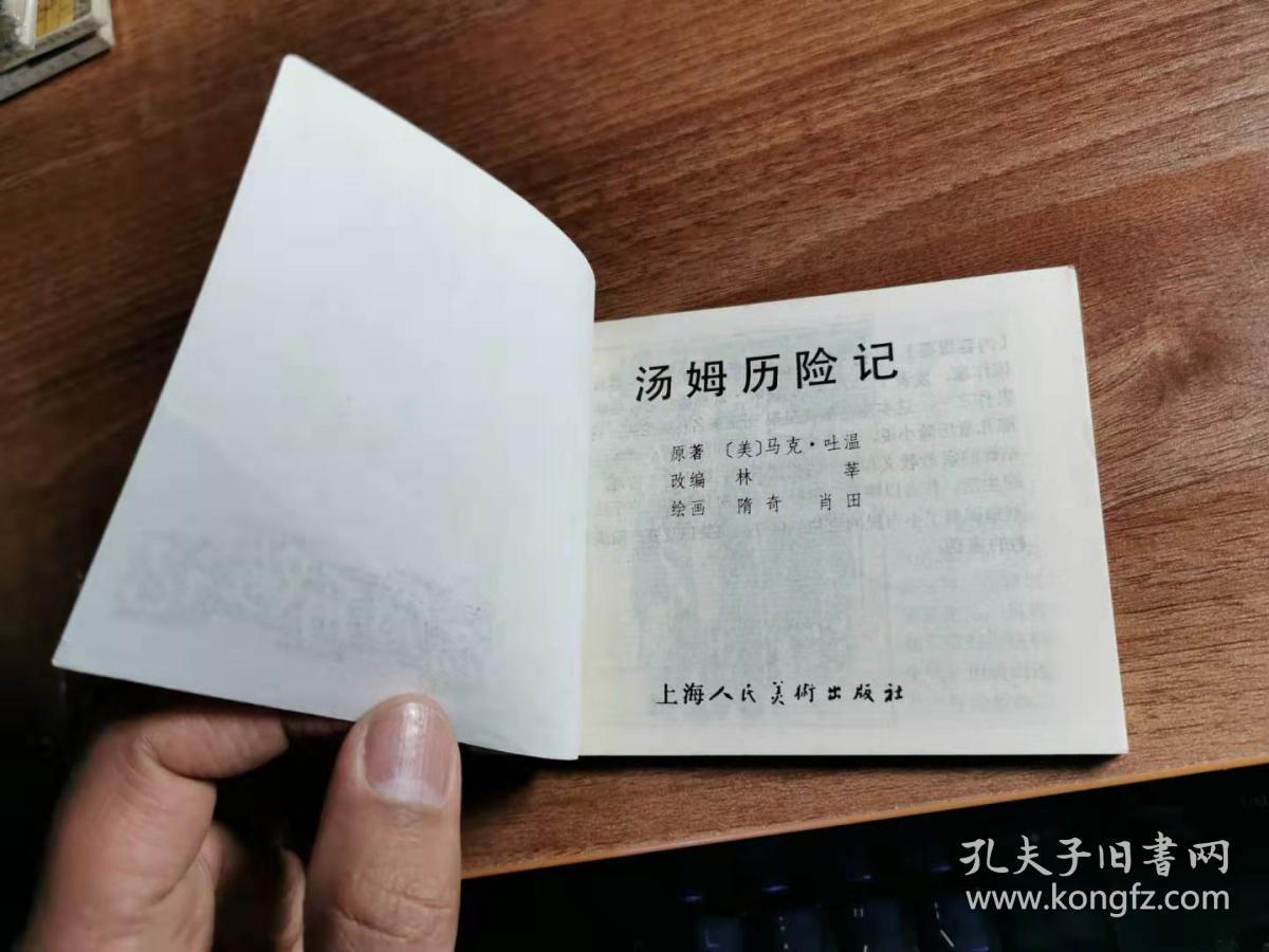汤姆历险记