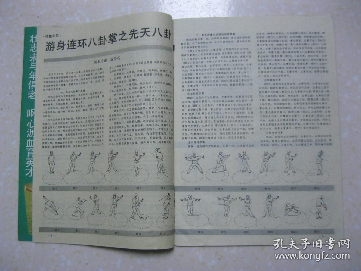 日本学者笔下的中日武术交流史;长拳十二形理论初探;游身连环八卦掌之
