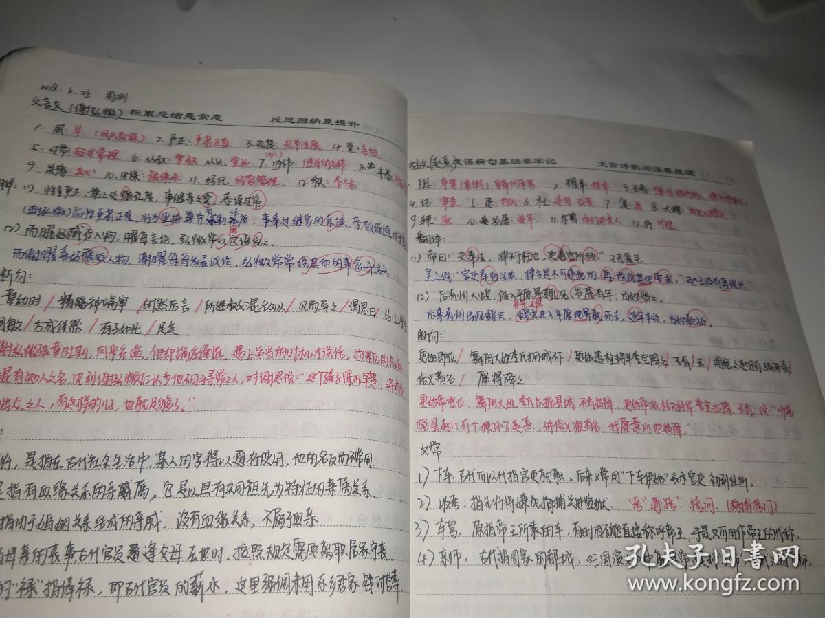 衡水中学学生手写高三语文积累本.