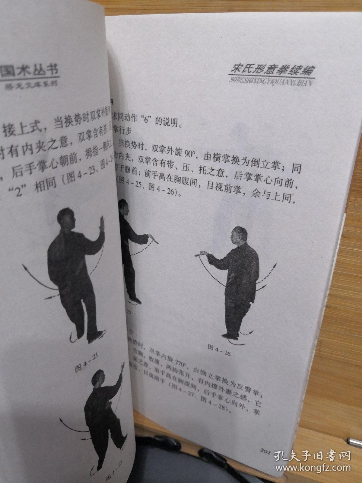 宋氏形意拳续编(下)