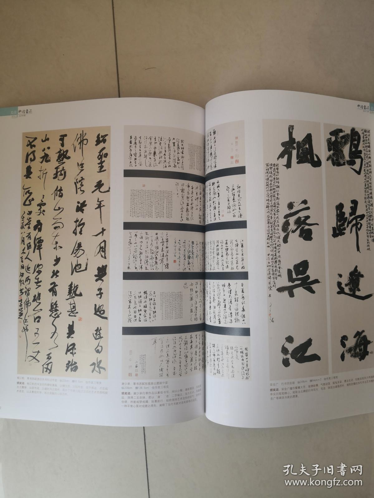第五届中国书法兰亭奖获奖作品领奖词创作感言全收录佳作奖入展作品选