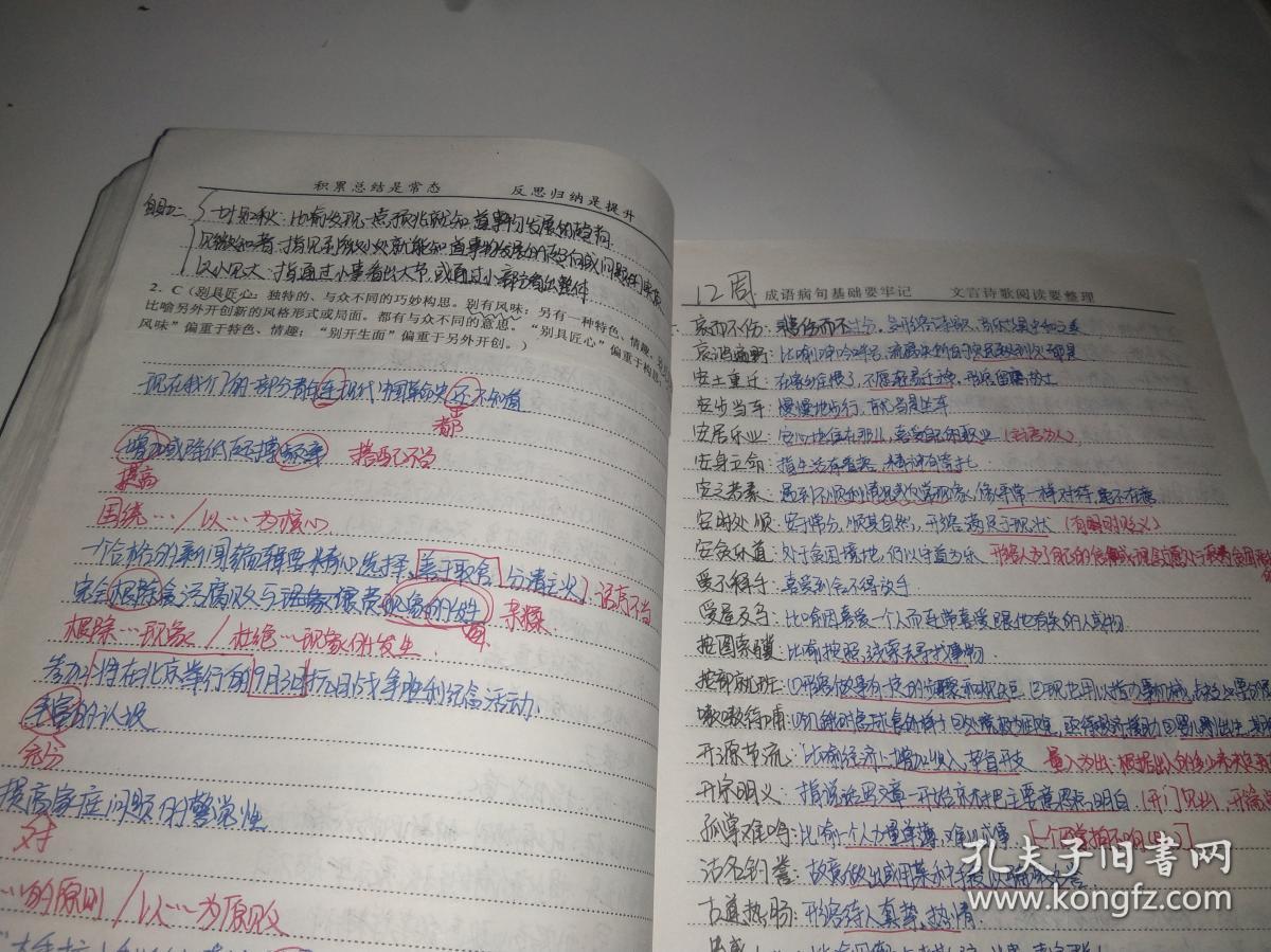 衡水中学学生手写高三语文积累本