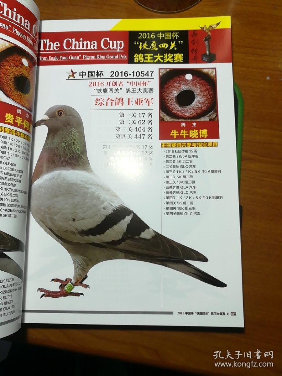 2016年中国杯信鸽职业联赛 【北京开创者站】"铁鹰四关"鸽王大奖赛