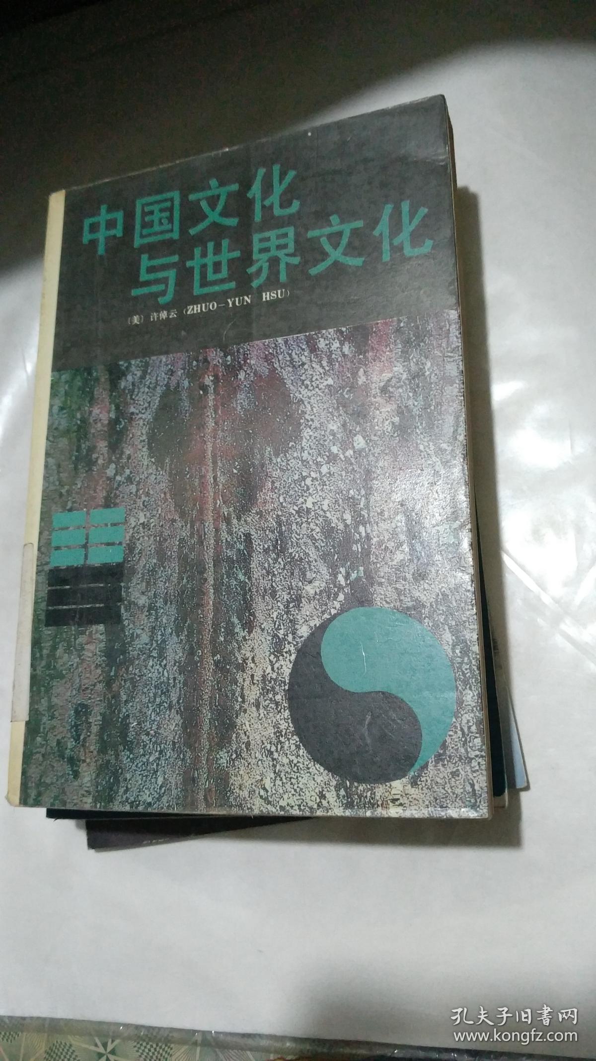 中国文化与世界文化