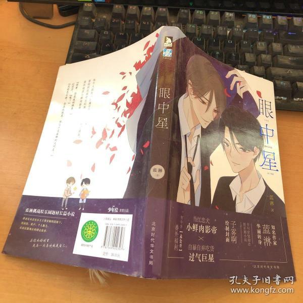 眼中星