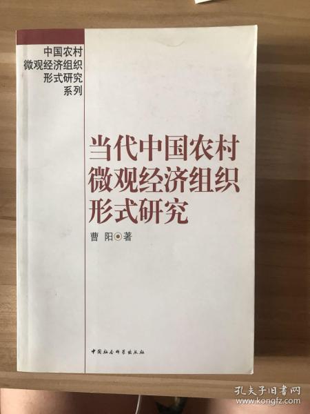 [中国农村微观经济组织形式研究系列:当代中国