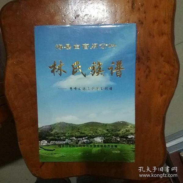 林氏族谱—梅县白宫阁公岭