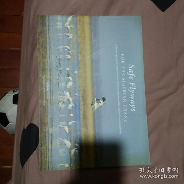 siberian crane,red panda safe flyways for the siberian crane鸟类迁徙白鹤