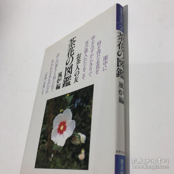 雷米奇遇记歌曲谱(3)