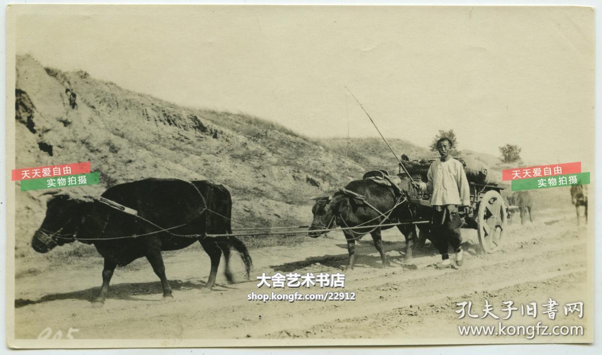 民国农村赶牛车的庄户人老照片.14.1x8.3厘米, 泛银