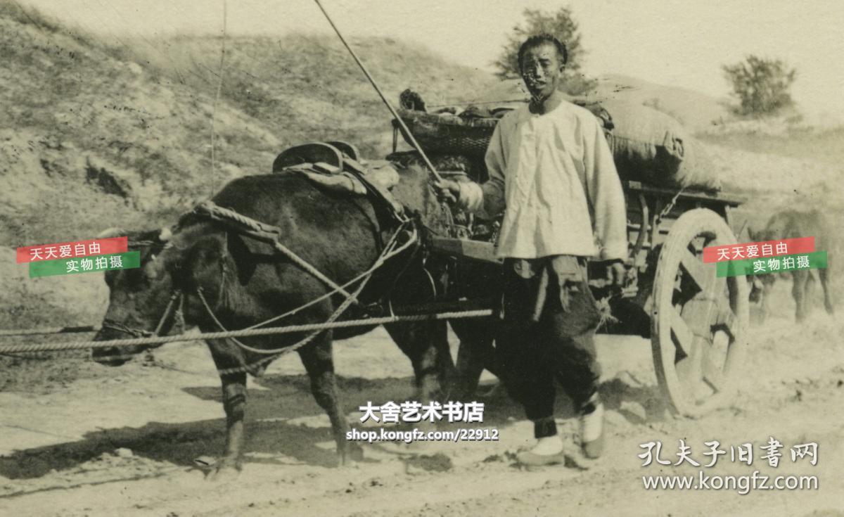 民国农村赶牛车的庄户人老照片.14.1x8.3厘米, 泛银