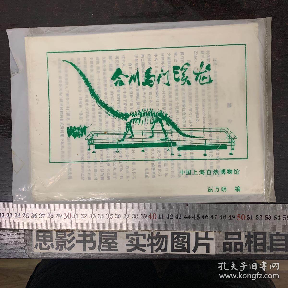 合川马门溪龙(恐龙图片14张)上海自然博物馆藏图片