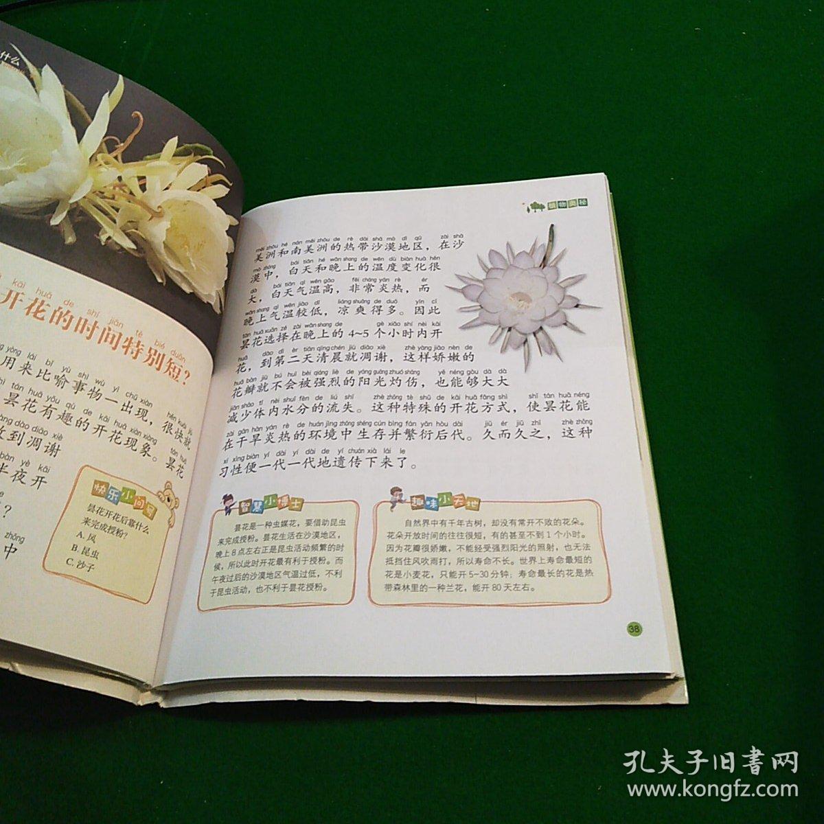 阳光宝贝十万个为什么植物奥秘