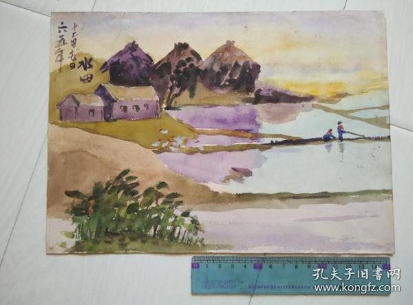康宁老师六十年代水彩画 水田
