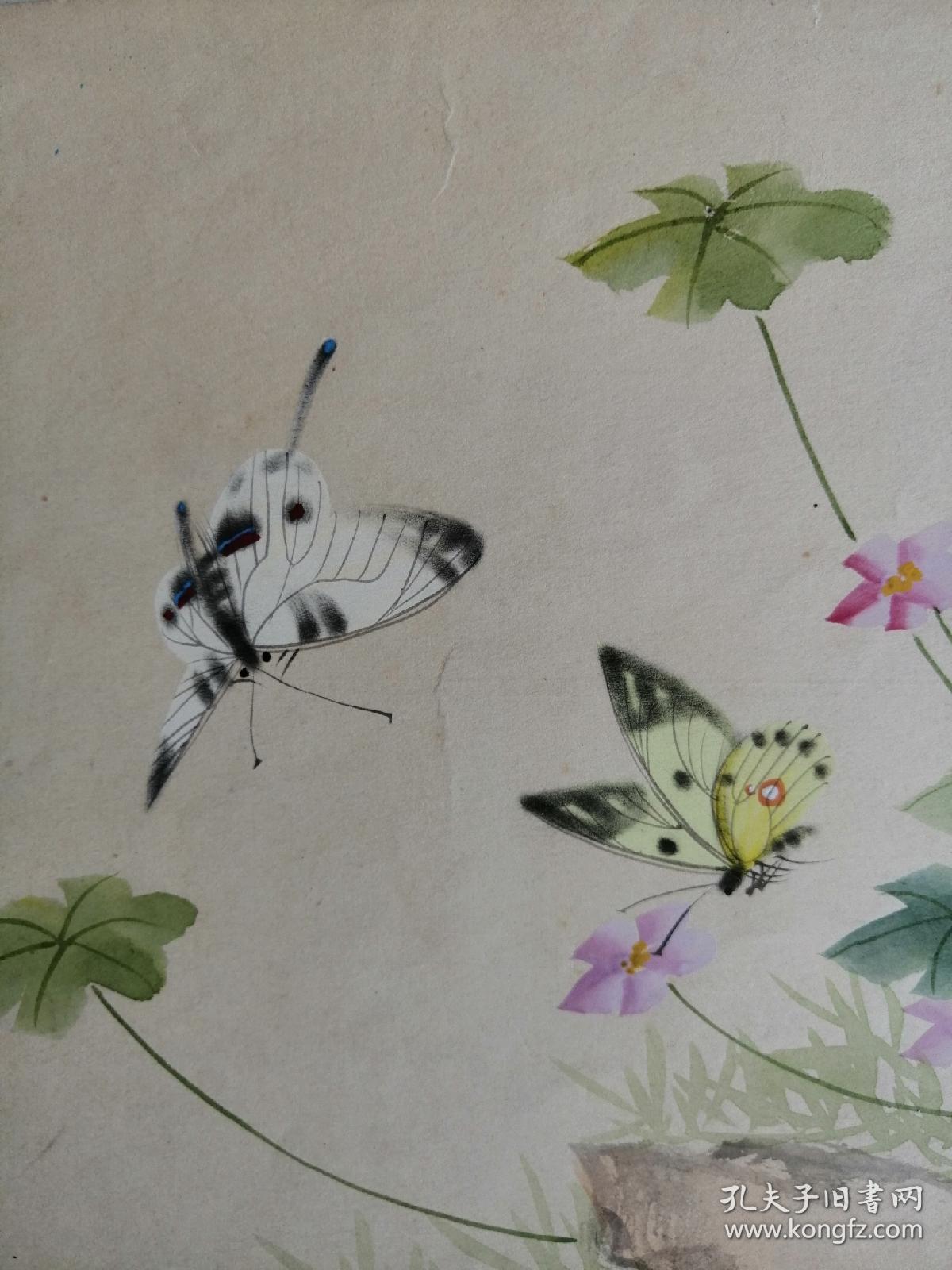老画家张亦非画《蝴蝶》2幅:郑文博老画家旧藏