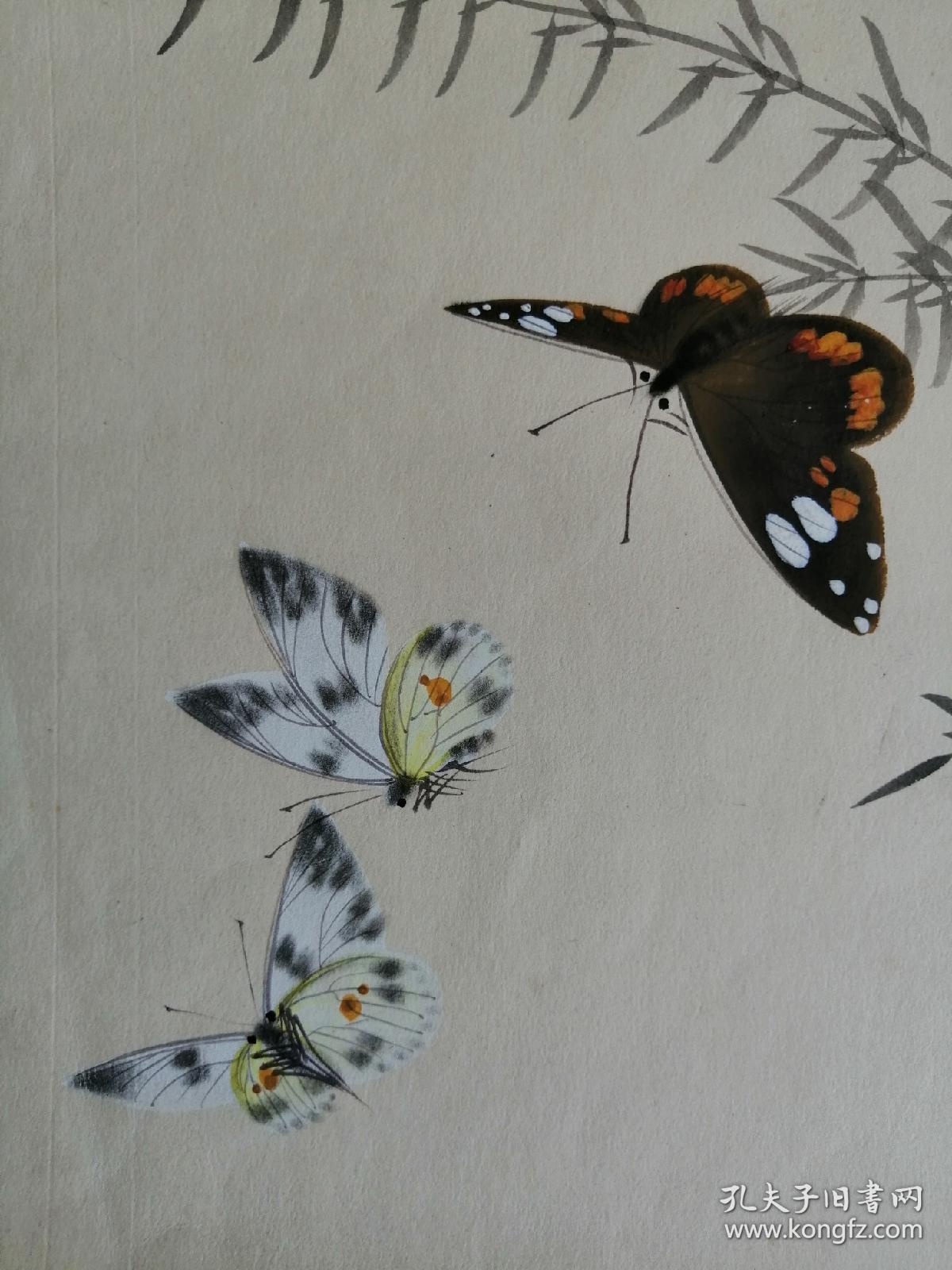 老画家张亦非画《蝴蝶》2幅:郑文博老画家旧藏