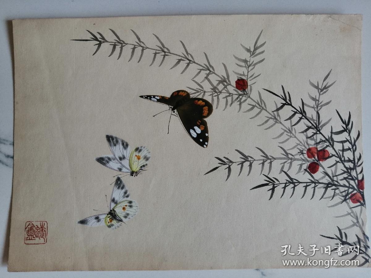 老画家张亦非画《蝴蝶》2幅:郑文博老画家旧藏