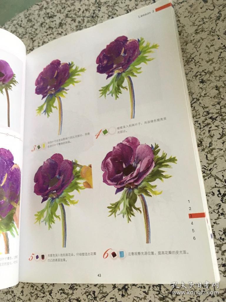 写给大家看的画画教学书:丙烯画技法 (货号a99)