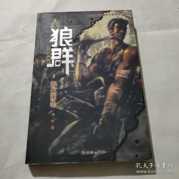 《狼群1》低价购书_刺血 著_小说_孔网