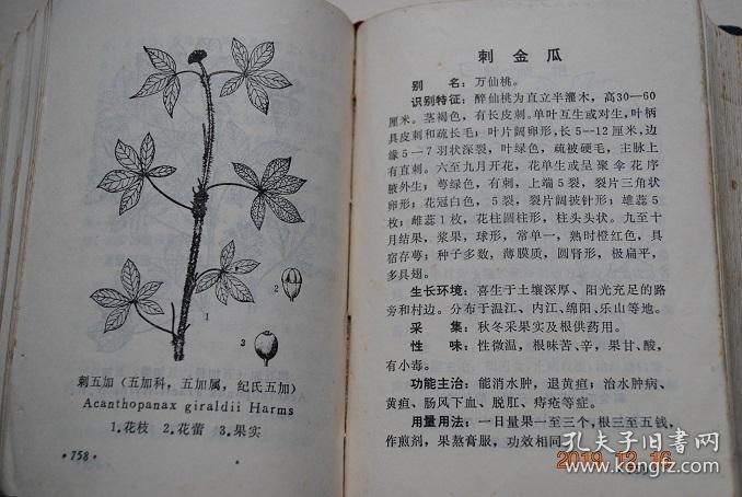 采药.用药.常用中草药.常见疾病配方(内科.外伤科.妇科(白带.