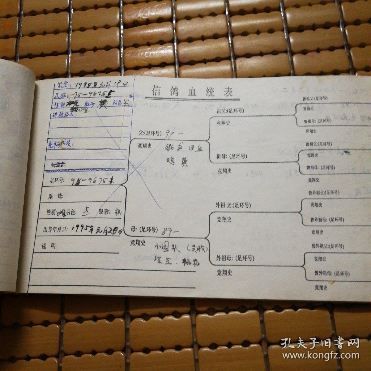 稀少本:中国信鸽 血统卡 全部有记录_信鸽_孔夫子旧书