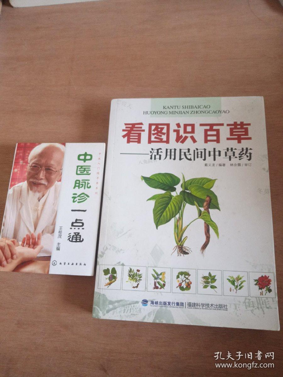 看图识百草:活用民间中草药