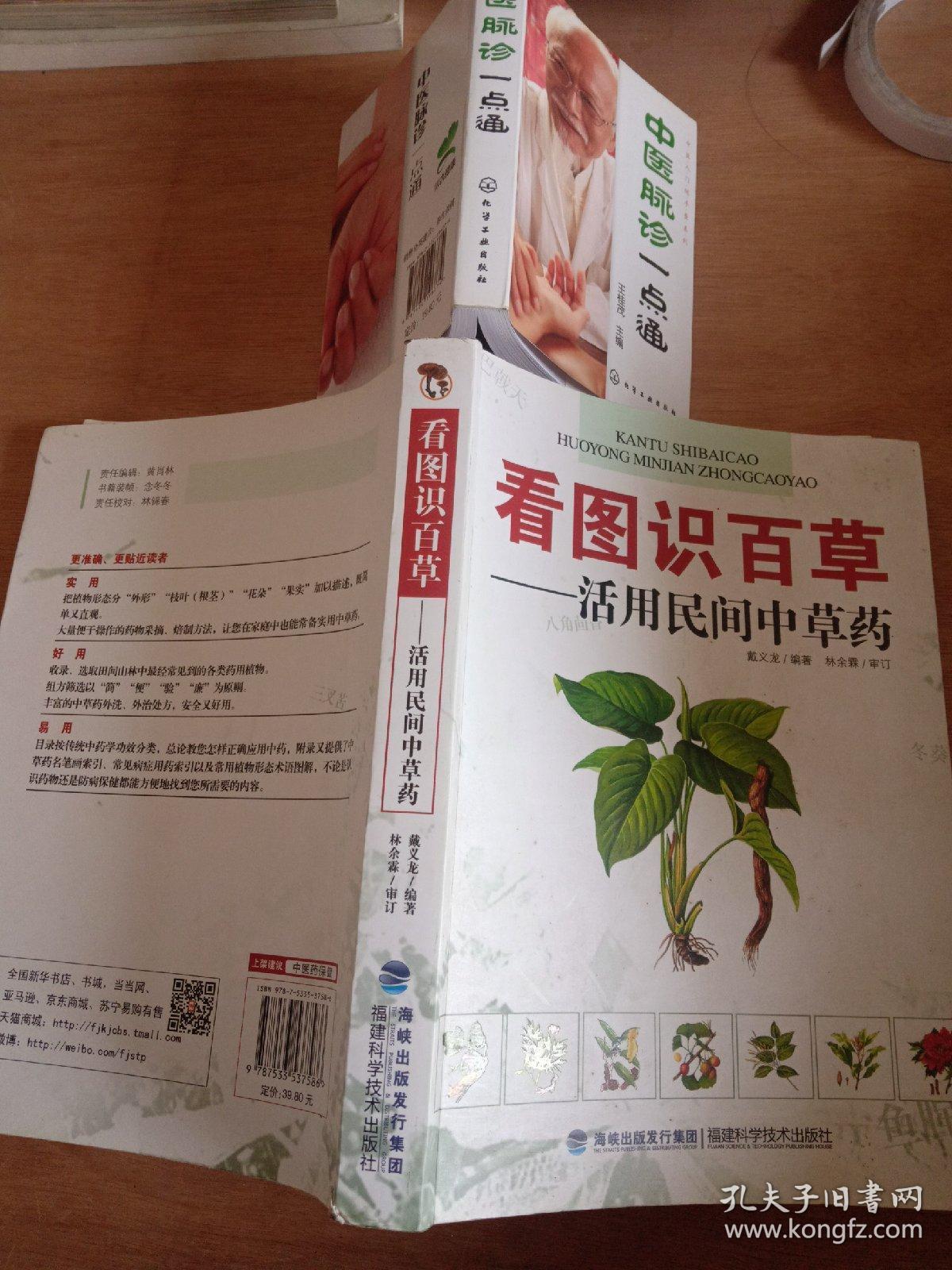 看图识百草:活用民间中草药,中医脉诊一点通两册